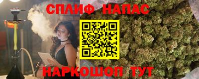 spice Пенза
