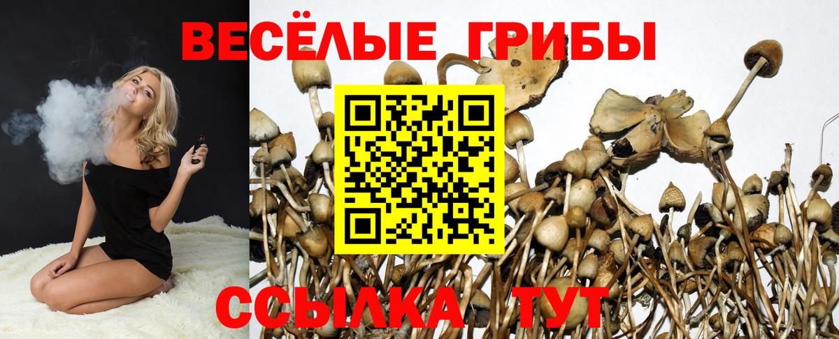 Галлюциногенные грибы Cubensis  Вход с VPN  Ржев 