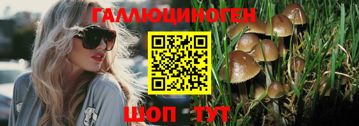 Галлюциногенные грибы мухоморы Ржев